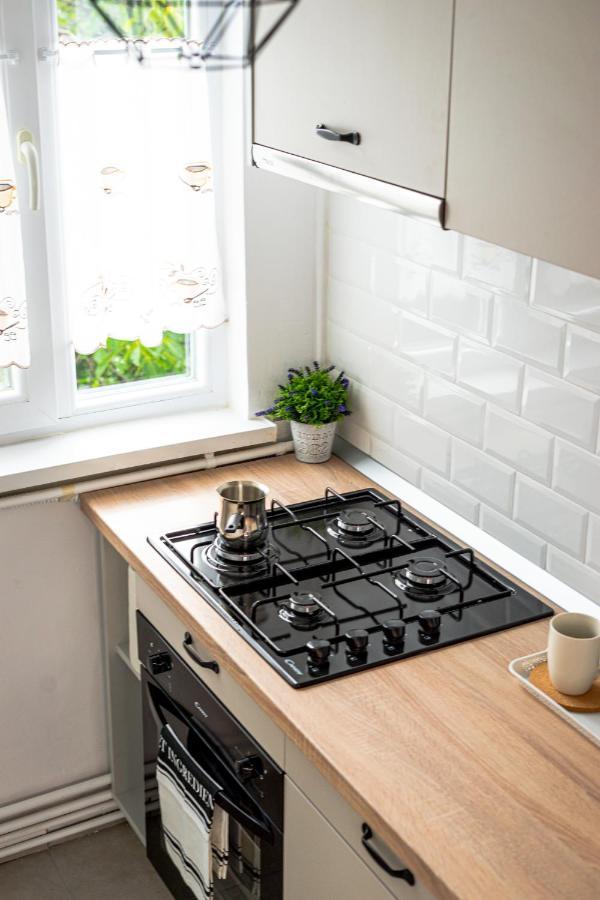 Central And Modern Apartment With Free Parking Timisoara Exterior foto